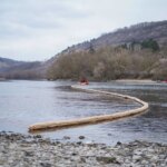 Новые нефтяные пятна на Днестре и гибель птиц обнаружены на севере Молдовы