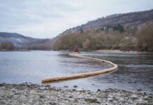 Новые нефтяные пятна на Днестре и гибель птиц обнаружены на севере Молдовы