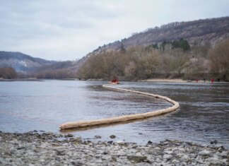 Новые нефтяные пятна на Днестре и гибель птиц обнаружены на севере Молдовы