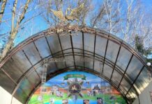 125 лет любви к животным: Николаевский зоопарк будет отмечать большой юбилей