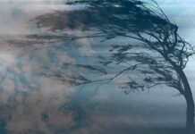 Погода резко изменится: Николаевщину предупредили