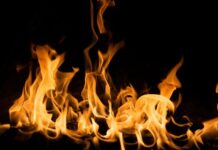 Сухая трава в огне: в Николаевской области зафиксировали серию пожаров в экосистемах