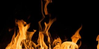 Сухая трава в огне: в Николаевской области зафиксировали серию пожаров в экосистемах