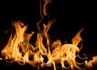 Сухая трава в огне: в Николаевской области зафиксировали серию пожаров в экосистемах