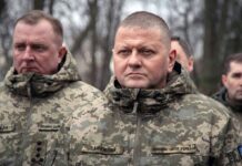 «Я от Залужного»: кто на самом деле окружает экс-главкома и имеет ли он тайный штаб