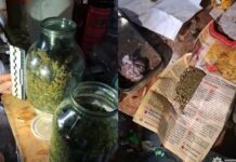 Более килограмма каннабиса дома: на Николаевщине мужчине объявили подозрение
