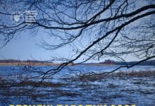 Весенние паводки 2026: подтопит ли Николаевщину