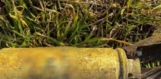 Смертельная находка: в Николаевской области ликвидировали вражеский боеприпас, — ФОТО