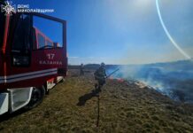 Массовые возгорания: в Николаевской области выгорели гектары территорий, — ФОТО