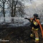 Огонь охватил более 2 гектаров: в Николаевской области за сутки произошло 8 пожаров, — ФОТО