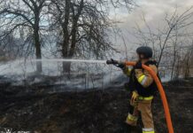 Огонь охватил более 2 гектаров: в Николаевской области за сутки произошло 8 пожаров, — ФОТО