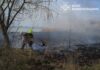 Люди снова жгут: в Николаевской области выгорело 6 гектаров территорий, — ФОТО