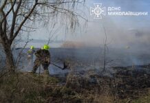 Люди снова жгут: в Николаевской области выгорело 6 гектаров территорий, — ФОТО