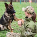 Команды на немецком и тренировки трижды в неделю: в Николаеве готовят служебного пса к работе, — ФОТО