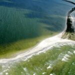 Фиктивные работники и «бронь»: эксдиректору нацпарка в Николаевской области объявили подозрение