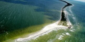 Фиктивные работники и «бронь»: эксдиректору нацпарка в Николаевской области объявили подозрение