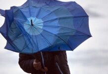 Сильный ветер накроет Николаевщину: объявлен желтый уровень опасности