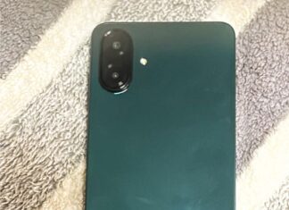 Ограбление в троллейбусе: в Николаеве задержан злоумышленник, — ФОТО