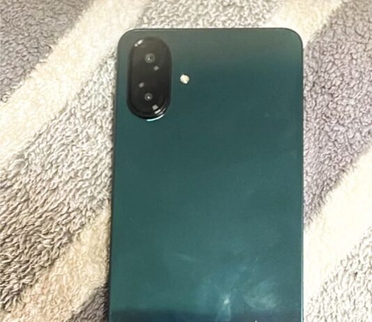 Ограбление в троллейбусе: в Николаеве задержан злоумышленник, — ФОТО