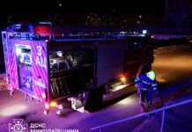 В Николаевской области за сутки произошло семь пожаров: горели жилье, авто и экосистемы, — ФОТО