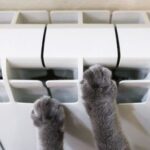 Проверь свой дом: в Николаеве запустили таблицу подготовки к зиме