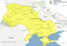 В Николаевской области снова ожидаются заморозки: объявлен желтый уровень опасности