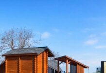 В Николаевской области восстановили «Лесовичок» после атаки: куда поехать на безопасный отдых