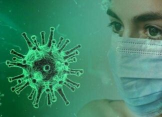 В Украине обнаружили новый субвариант COVID-19 «Цикада»: что известно