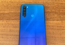 В Николаеве задержали мужчину, ранее похищавшего цветы: его подозревают в грабеже смартфона, — ФОТО