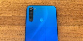 В Николаеве задержали мужчину, ранее похищавшего цветы: его подозревают в грабеже смартфона, — ФОТО