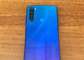 В Николаеве задержали мужчину, ранее похищавшего цветы: его подозревают в грабеже смартфона, — ФОТО