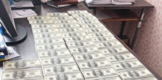 Фиктивный брак за $9 тысяч: в Николаевской области разоблачили схему для выезда за границу, — ФОТО