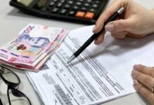 Субсидии на новый сезон: кому перечислят автоматически, а кому нужно обращаться