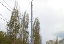 В Николаеве ликвидируют последствия непогоды: в городе повалены деревья, — ФОТО