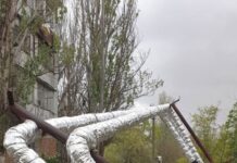 Штормовой ветер на Николаевщине: тысячи людей без света, падают деревья и задерживается транспорт, — ФОТО