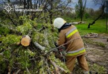 Непогода в Николаевской области: спасатели 11 раз выезжали на ликвидацию последствий, — ФОТО