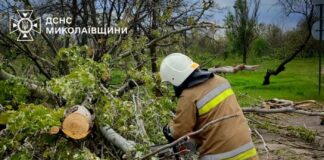 Непогода в Николаевской области: спасатели 11 раз выезжали на ликвидацию последствий, — ФОТО