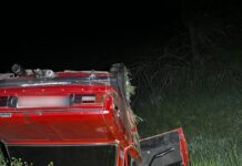 Смертельное ДТП в Николаевской области: погиб водитель, трое пассажиров травмированы, — ФОТО