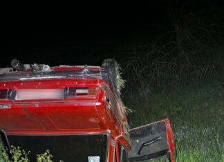 Смертельное ДТП в Николаевской области: погиб водитель, трое пассажиров травмированы, — ФОТО