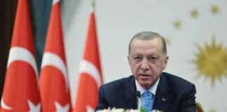 Ситуация в Иране движется к геостратегическому тупику — Эрдоган поговорил с генсеком НАТО