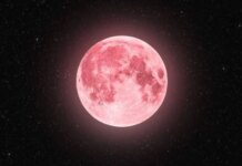 Полнолуние в апреле – что означает розовая полная луна и почему ее так называют