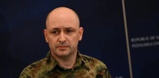 Глава сербской разведки опроверг фейки об «украинском следе» в деле со взрывчаткой возле газопровода