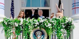 Трамп назвал предложение о 45-дневном прекращении огня значительным шагом, но «недостаточно хорошим»