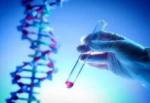 Украинцы в пяти странах Европы могут сдать ДНК для поиска пропавших без вести — Лубинец