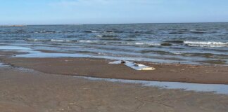 На эстонское побережье вынесло обломок крыла украинского беспилотника