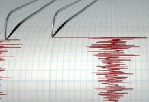 В Японии произошли два мощных землетрясения