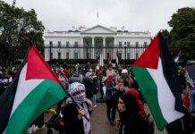 Трамп усилил условия получения грин-карт: под ударом антисемиты и сторонники Палестины — NYT