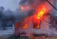 Пасмурная погода в Николаевской области спасла от поджогов, но не от пожаров