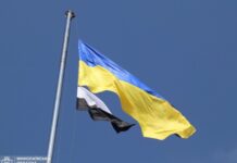 «Флаг Надежды» может стать государственным символом: Николаевский облсовет обратится в ВР