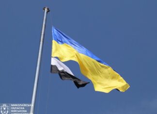 «Флаг Надежды» может стать государственным символом: Николаевский облсовет обратится в ВР